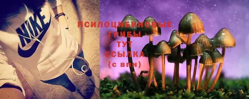 Галлюциногенные грибы MAGIC MUSHROOMS  даркнет телеграм  Остров 